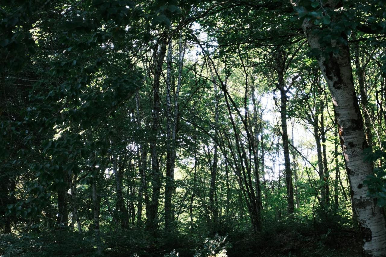Lodge Avec Spa Privatif - Foret Et Lac Liginiac المظهر الخارجي الصورة