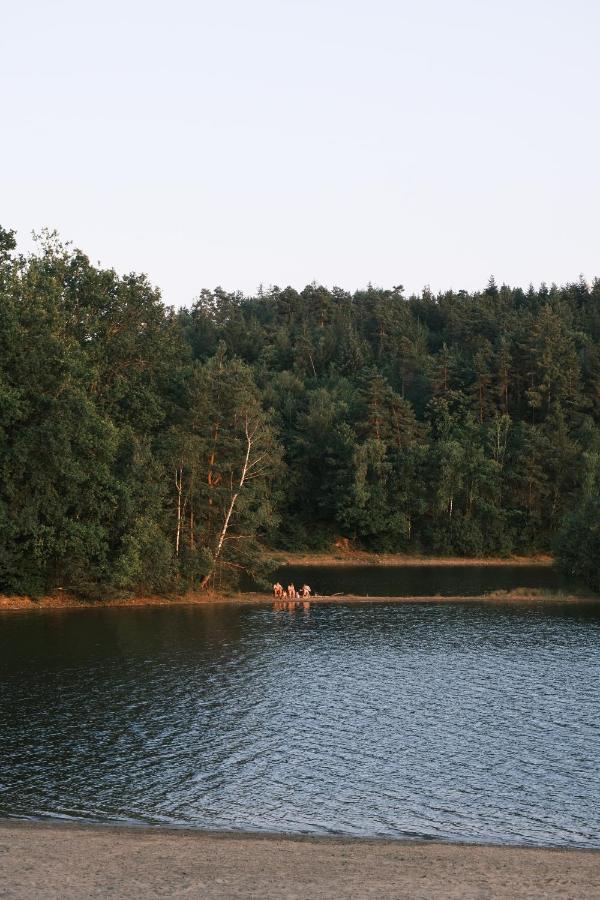Lodge Avec Spa Privatif - Foret Et Lac Liginiac المظهر الخارجي الصورة