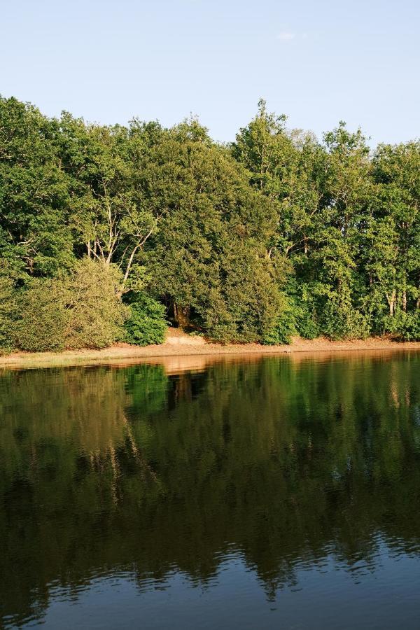 Lodge Avec Spa Privatif - Foret Et Lac Liginiac المظهر الخارجي الصورة