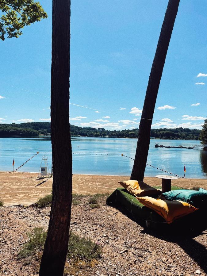 Lodge Avec Spa Privatif - Foret Et Lac Liginiac المظهر الخارجي الصورة