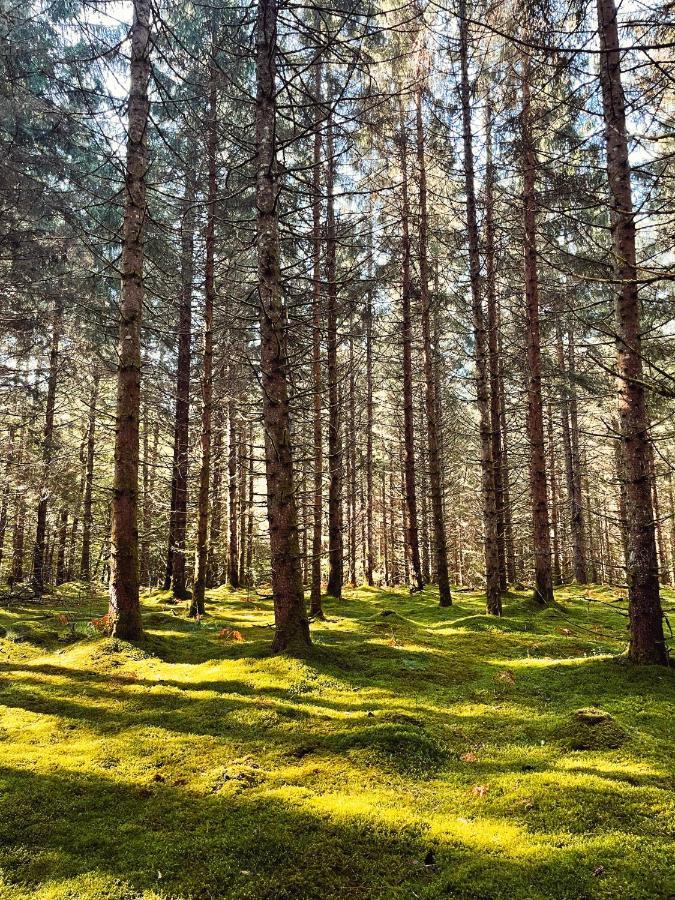 Lodge Avec Spa Privatif - Foret Et Lac Liginiac المظهر الخارجي الصورة