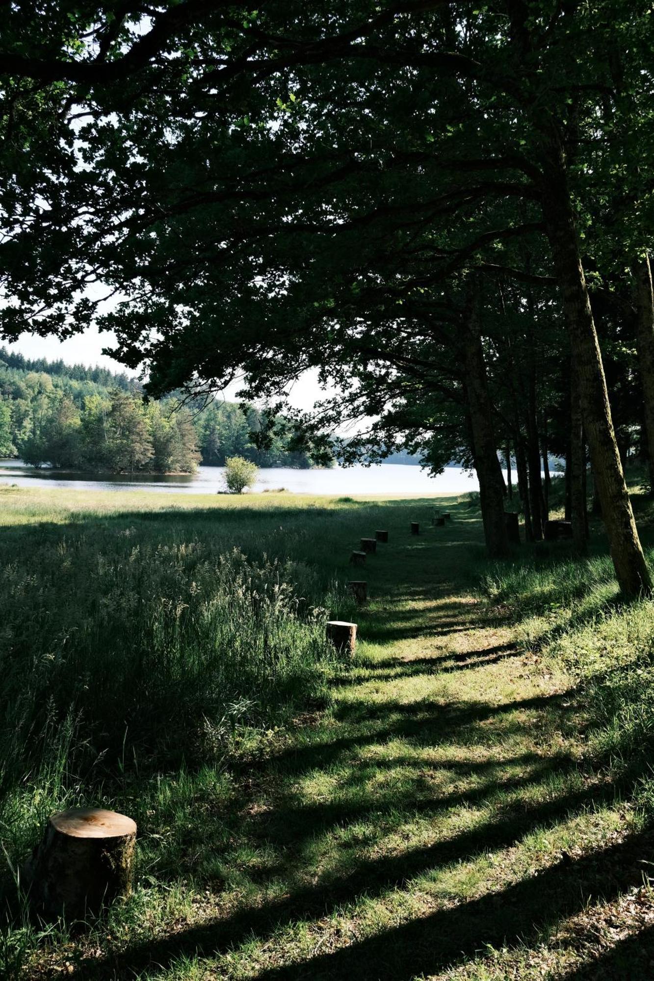Lodge Avec Spa Privatif - Foret Et Lac Liginiac المظهر الخارجي الصورة