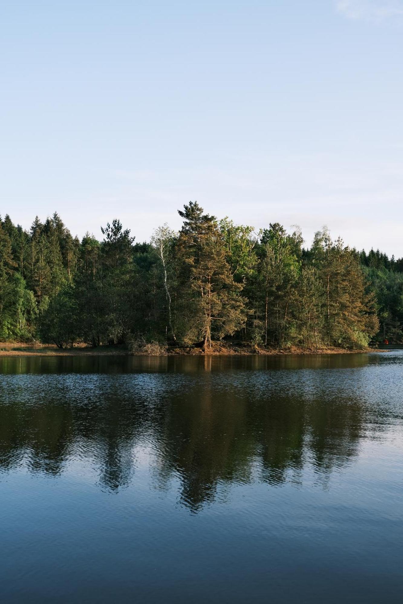 Lodge Avec Spa Privatif - Foret Et Lac Liginiac المظهر الخارجي الصورة