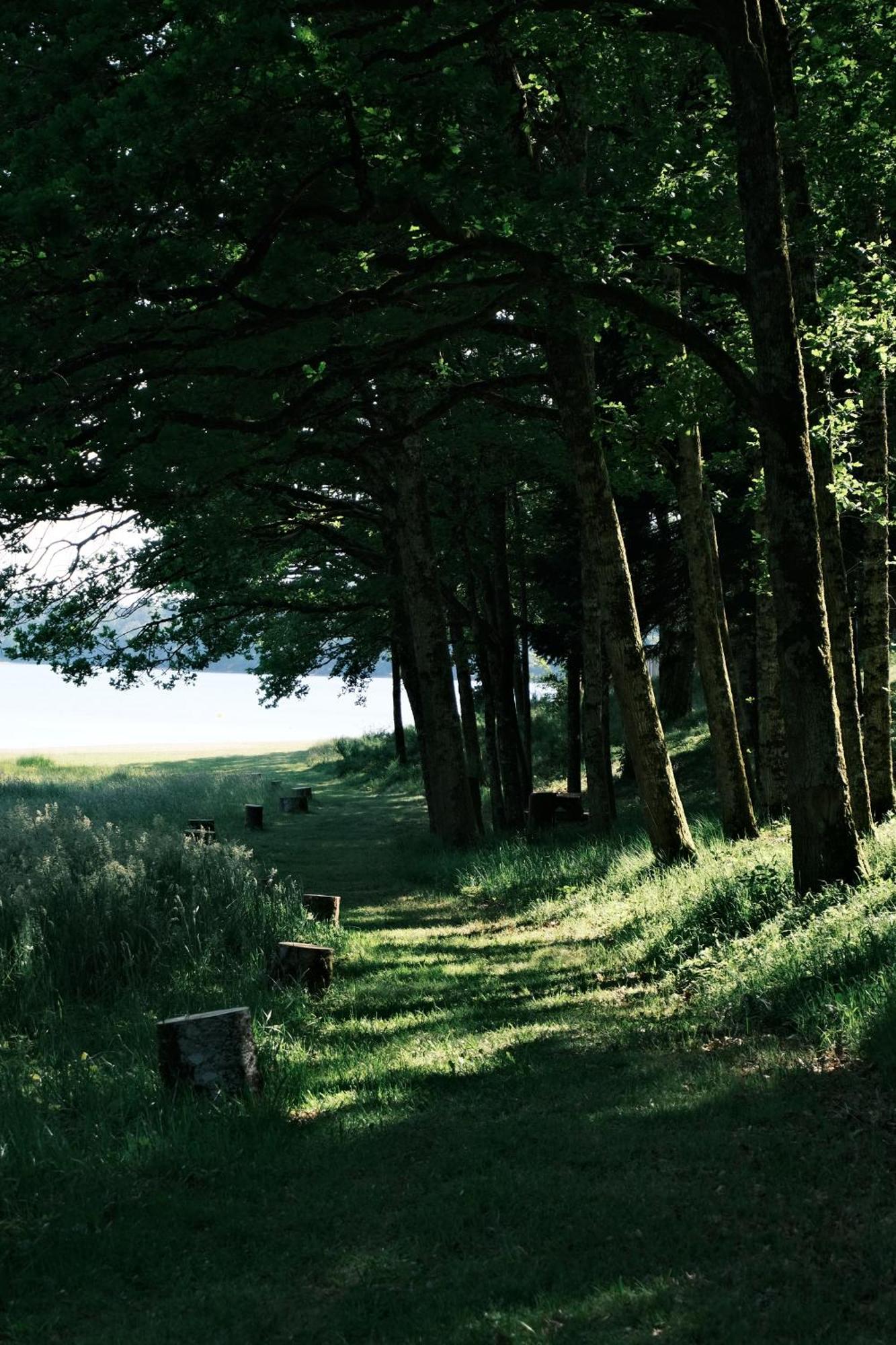 Lodge Avec Spa Privatif - Foret Et Lac Liginiac المظهر الخارجي الصورة