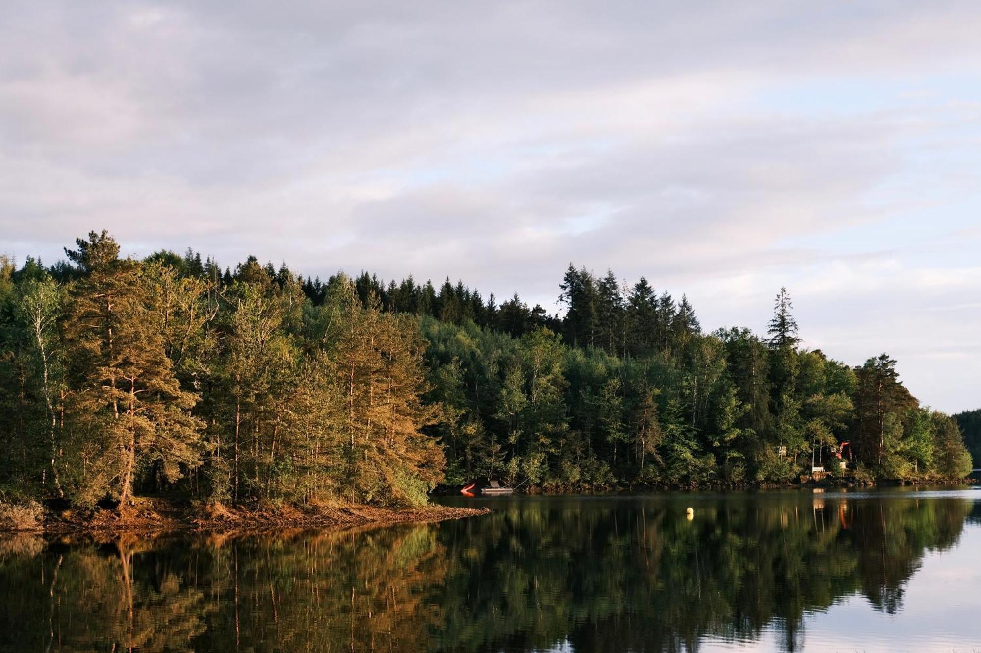 Lodge Avec Spa Privatif - Foret Et Lac Liginiac المظهر الخارجي الصورة